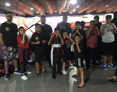 5° Festival de artes marciais chinesas